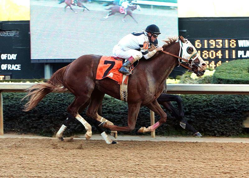 Will Take Charge Tops Lukas Exacta in Rebel