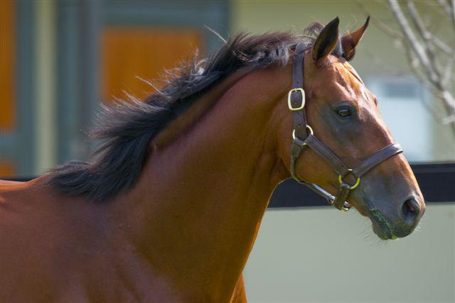 Three Chimneys Annual Derby Week Open House