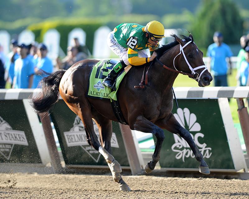 Palace Malice Reigns With Belmont Surprise