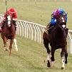 Three Chimneys Exacta in Laurel Futurity