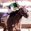 Exchange Rate’s Gracer Gets 2nd SW of 2014
