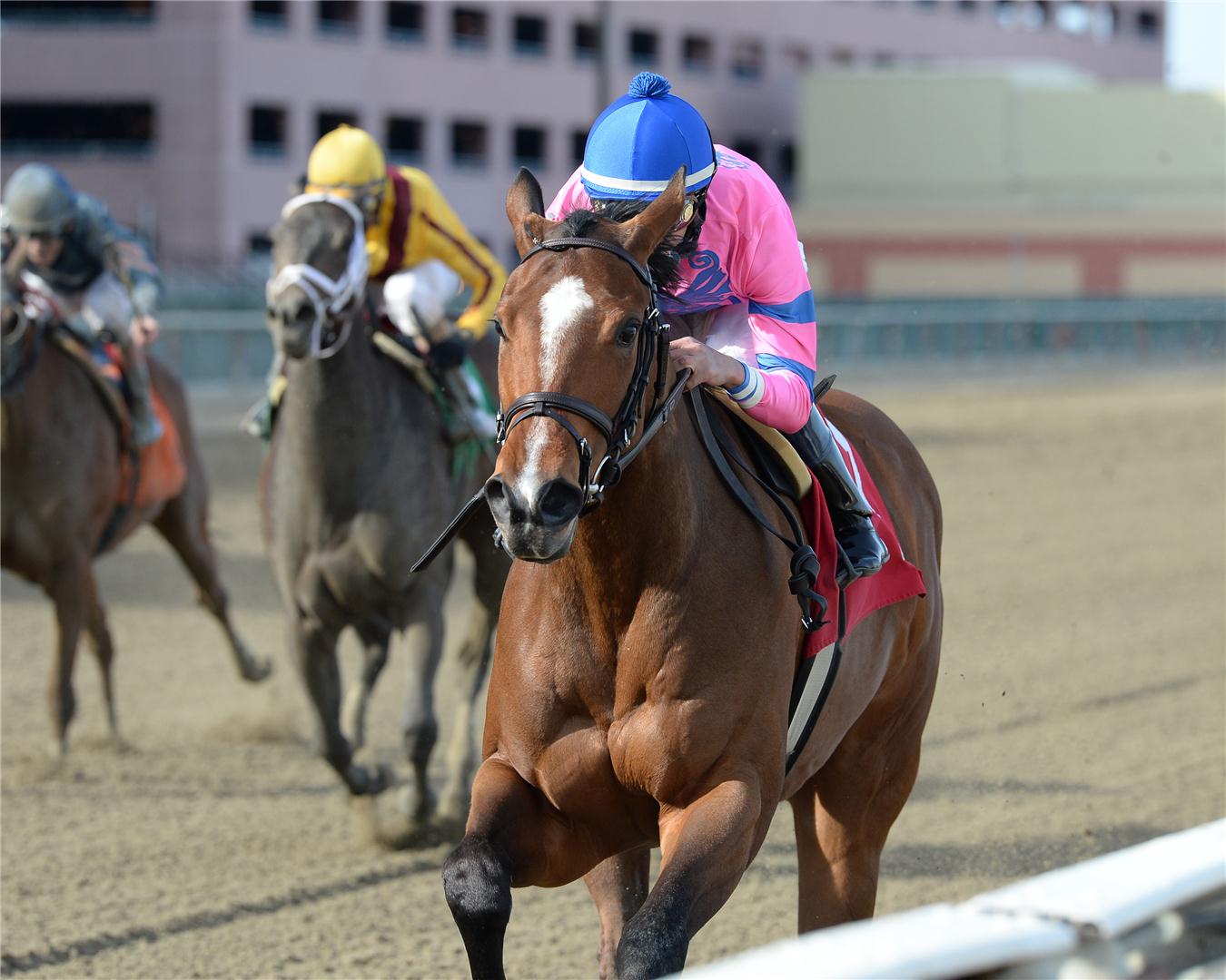 La Verdad zips to victory in $200,000 Critical Eye S.