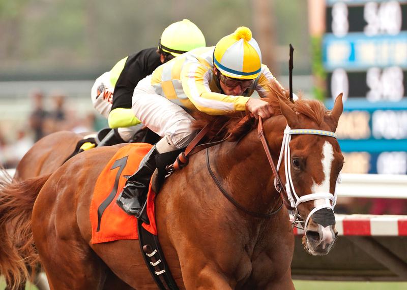 Skyway forges to Grade 2 Best Pal S. victory