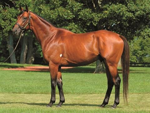 Nicky’s Brown Miss scores big at Kentucky Downs