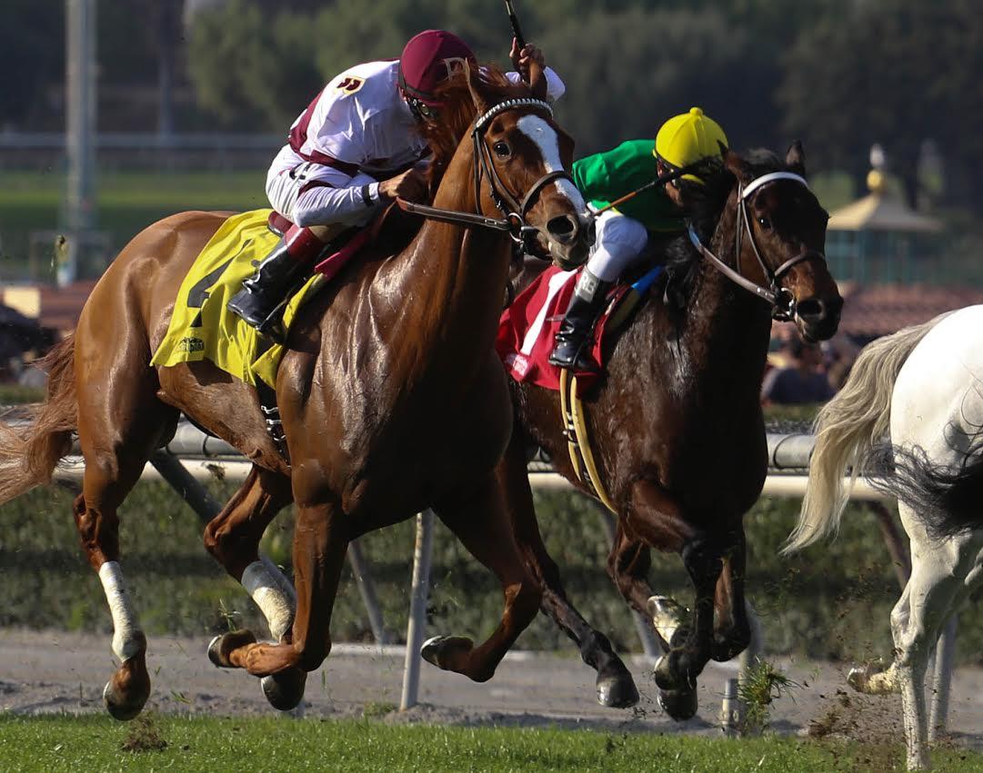 Three Chimneys partners with Besilu Stables
