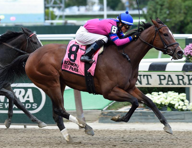 Yes It’s True filly takes fifth stake of 2014