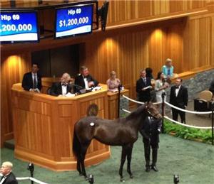 Lady Zuzu romps in Keeneland MdSpWt score