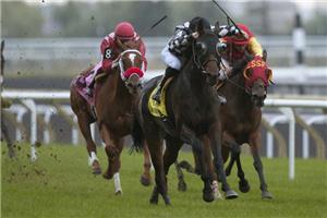 Sky Mesa filly tops in $150,000 Carotene S.