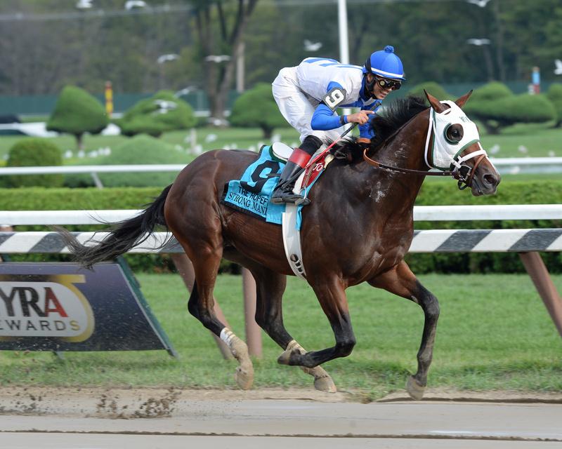 Strong Mandate to stand at Three Chimneys