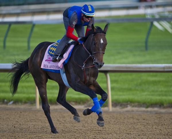 Ria Antonia brings $1.8 million at Fasig-Tipton