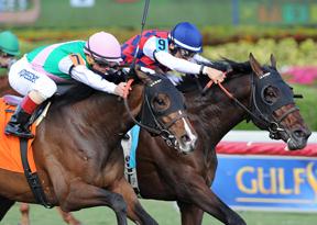 Dubai Sky fights to dead-heat victory at Gulfstream Park
