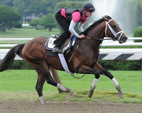 Palace Malice posts first breeze since return to training