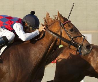 Rainha Da Bateria puts in final work for G3 Santa Ysabel