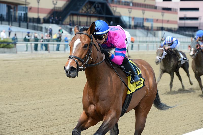 La Verdad scores second consecutive Distaff H. (G2) victory