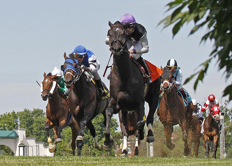Xtra Luck shows his skill in the Louisville H. (G3)