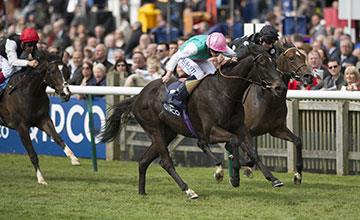 Exchange Rate filly scores in G2 Dahlia S.