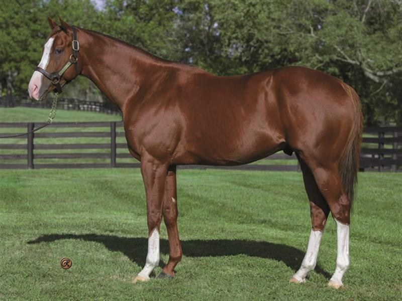 Will Take Charge Survives Oaklawn Inquiry