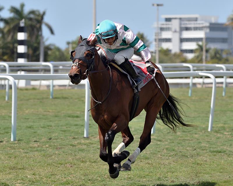 Sky Mesa’s Highland Glory takes Sanibel Island S. in black type debut