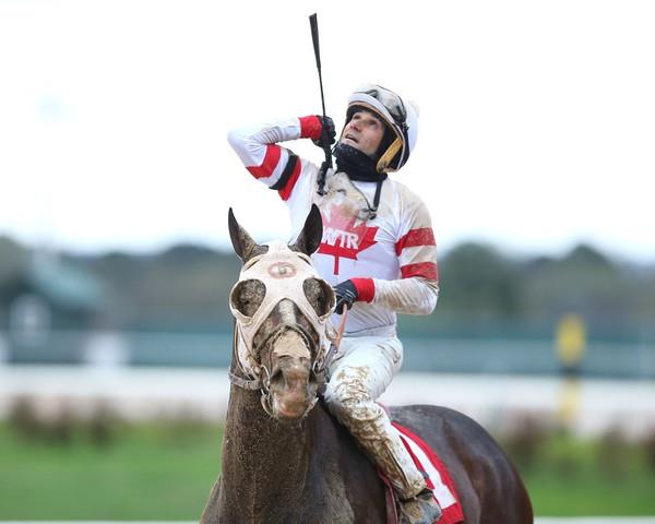 Sky Promise wins first running of Temperence Hill S.