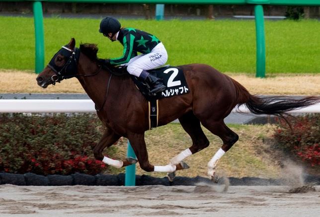 Will Take Charge colt wins final leg of Japan’s KY Derby challenge