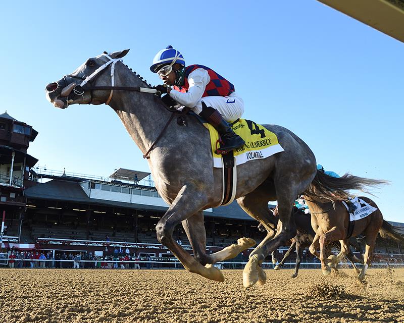 Volatile goes gate-to-wire in Vanderbilt H. (G1)