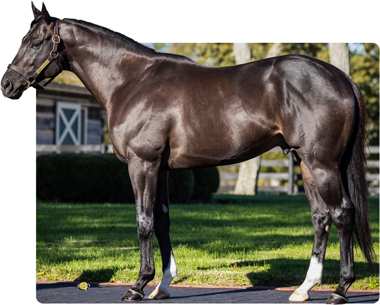 Latest Sharp Azteca winner closes from far off the pace