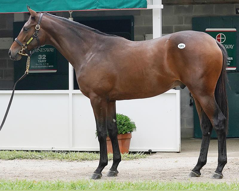 $750K colt tops stellar Keeneland opener for Gun Runner