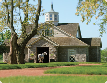 Three Chimneys to host November open house