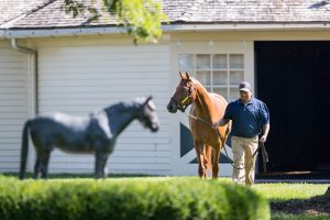 2017 Horse of the Year Gun Runner