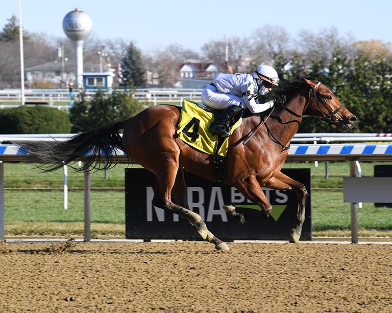 Palace Malice filly earns big number in dirt debut