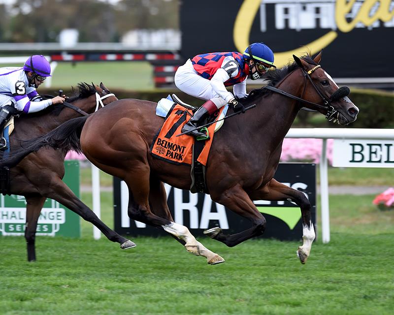 Royal Approval draws post 11 for Breeders’ Cup Juvenile Fillies Turf (G1)