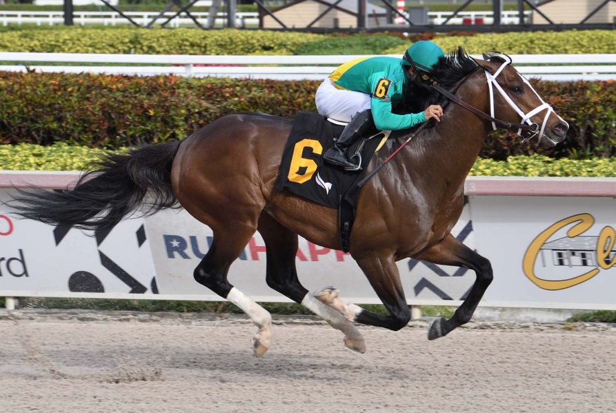 Palace Malice runners shining at Gulfstream’s Championship meet
