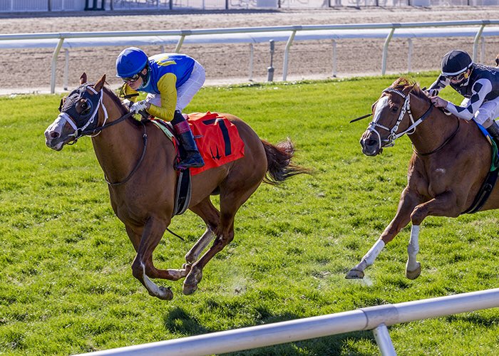 Will Take Charge’s Manny Wah wins Duncan Kenner S. in turf debut