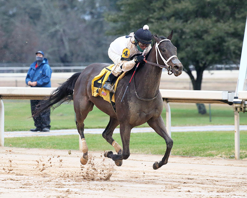 Will’s Secret much the best in $200,000 Martha Washington S.