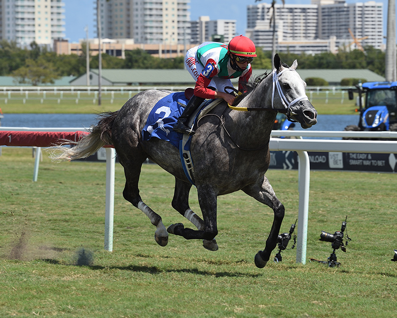 Sky Mesa’s Sweet Bye and Bye dominates Sand Springs S.