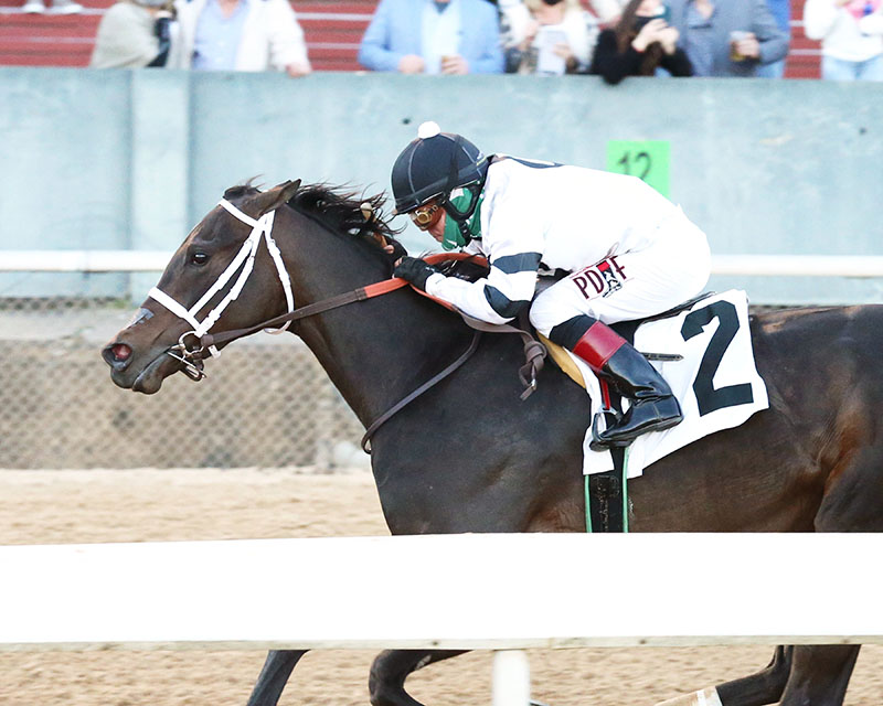 Will’s Secret takes major step on the road to the Kentucky Oaks (G1)