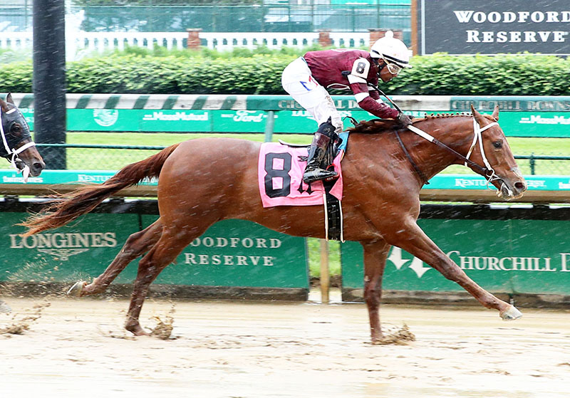Red Run first winner for Gun Runner