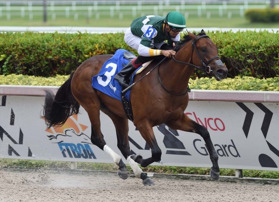Pappacap gives Gun Runner second MdSpWt winner of the week