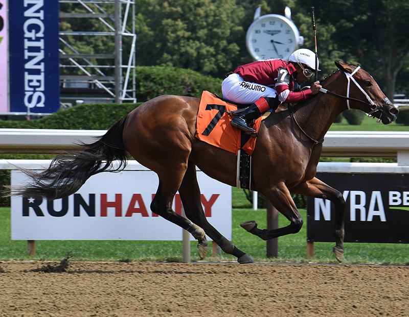 Gun Runner kicks off Saratoga meet with a TDN “Rising Star”