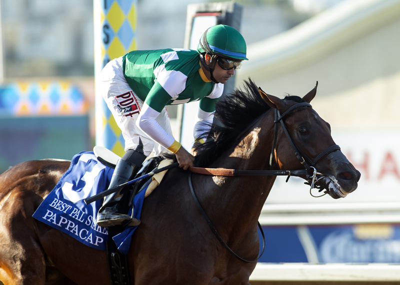 Pappacap takes Best Pal (G2) to become Gun Runner’s first SW
