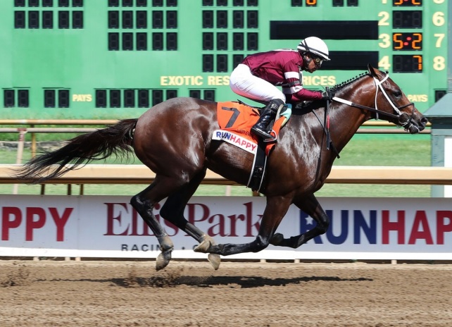 Regally-bred Guntown fires big on stretch-out