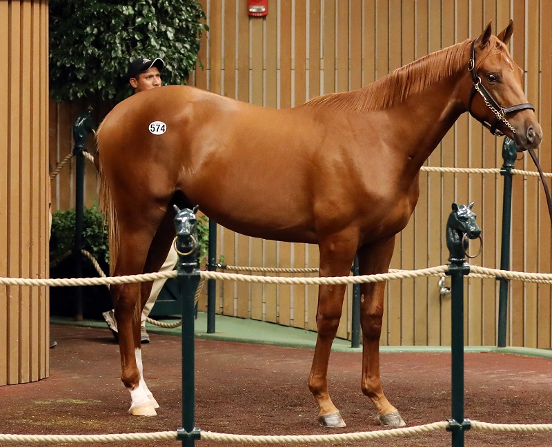 Gun Runner colt hammers for $975,000 at Keeneland