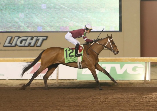 Gun Runner’s Optionality ups winning streak with dominant Trapeze S. win