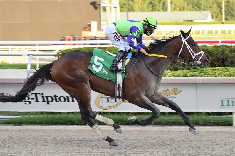 Collaborate returns with stylish Gulfstream Park allowance win