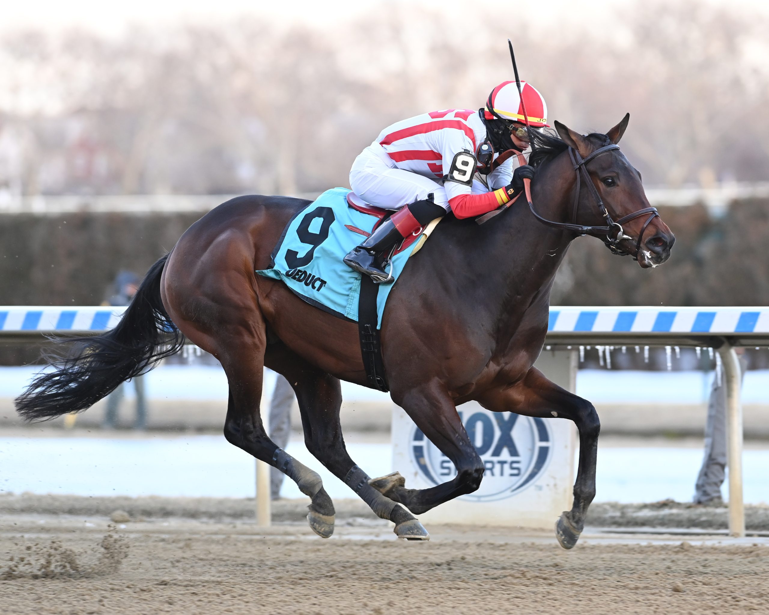 Early Voting a clear winner of the Withers S. (G3)