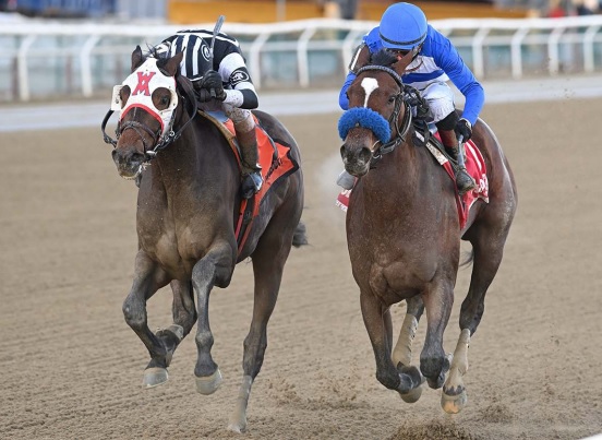 Shotgun Hottie the weekend’s second stakes winner for Gun Runner