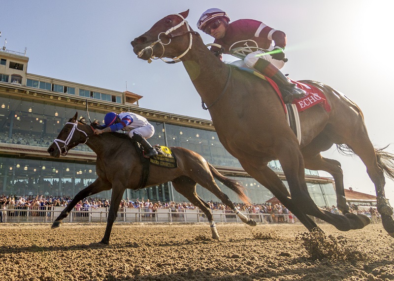Echo Zulu stays unbeaten with gallant Fair Grounds Oaks (G2) victory