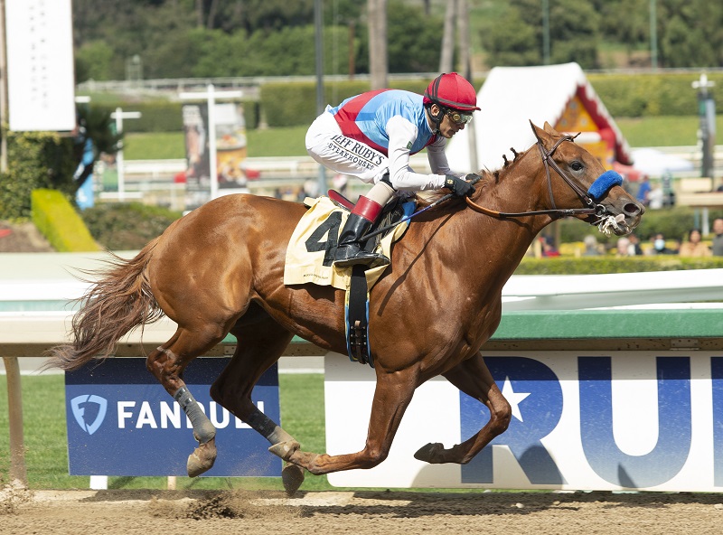 Pricey Gun Runner colt rolls in debut, named a TDN Rising Star