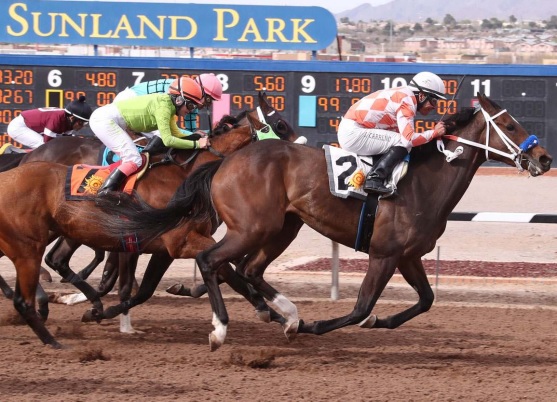 Stakes winner Cleopatras Charge tops big weekend for Will Take Charge