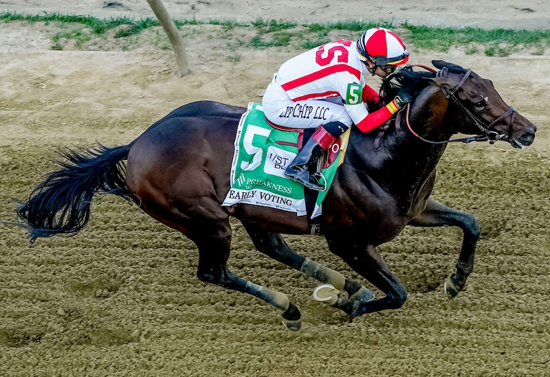 Preakness (G1) champ Early Voting gives Gun Runner his first classic winner